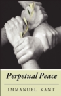 Image for Perpetual Peace