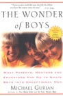 Image for The Wonder of Boys : What Parents, Mentors and Educators Can Do to Shape Boys into Exceptional Men