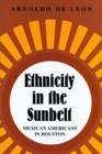 Image for Ethnicity in the Sunbelt