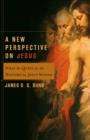 Image for A new perspective on Jesus: what the quest for the historical Jesus missed