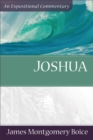 Image for Joshua: an expositional commentary