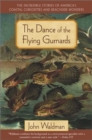 Image for Dance of the Flying Gurnards