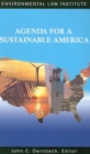 Image for Agenda for a Sustainable America
