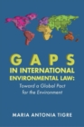 Image for Gaps in International Environmental Law : Toward a Global Pact for the Environment