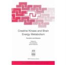 Image for Creatine Kinase and Brain Energy Metabolism : Function and Disease