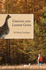 Image for Grouse and Lesser Gods