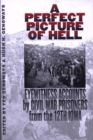 Image for A Perfect Picture of Hell: Eyewitness Accounts By Civil War Prisoners from the 12th Iowa.