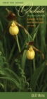 Image for Orchids in Your Pocket