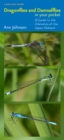 Image for Dragonflies and Damselflies in Your Pocket : A Guide to the Odonates of the Upper Midwest