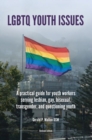 Image for LGBTQ Youth Issues : A Practical Guide for Youth Workers Serving Lesbian, Gay, Bisexuual, Transgender, and Questioning Youth