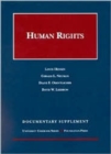 Image for Human Rights : 2001 Documentary Supplement