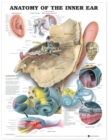 Image for Anatomy of the Inner Ear Anatomical Chart