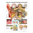 Image for The Ear