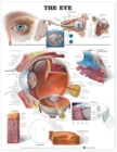 Image for The Eye Anatomical Chart
