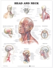 Image for Head and Neck Anatomical Chart