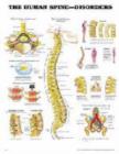 Image for The Human Spine Disorders