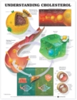 Image for Understanding Cholesterol Anatomical Chart