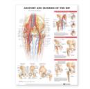 Image for Anatomy and Injuries of the Hip Anatomical Chart