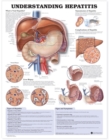 Image for Understanding Hepatitis Anatomical Chart