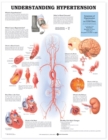 Image for Understanding Hypertension Anatomical Chart