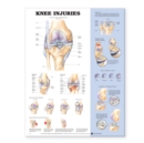 Image for Knee Injuries Anatomical Chart