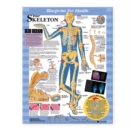 Image for Blueprint for Health Your Skeleton Chart