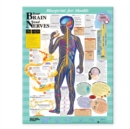 Image for Blueprint for Health Your Brain and Nerves Chart