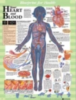 Image for Blueprint for Health Your Heart and Blood Chart