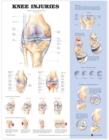 Image for Knee Injuries Anatomical Chart