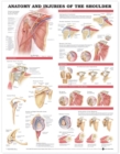 Image for Anatomy and Injuries of the Shoulder Anatomical Chart