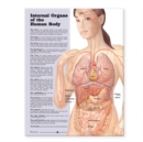 Image for Internal Organs of the Human Body Anatomical Chart