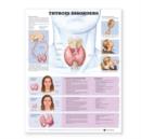 Image for Thyroid Disorders Anatomical Chart