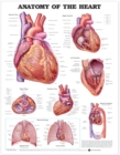 Image for Anatomy of the Heart Anatomical Chart