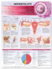 Image for Infertility Anatomical Chart