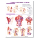 Image for Trigger Points: Torso