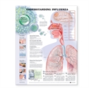 Image for Understanding Influenza