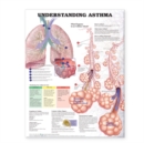Image for Understanding Asthma Anatomical Chart