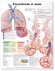 Image for Understanding Asthma Anatomical Chart in Spanish (Entendiendo El Asma)