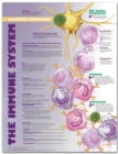 Image for The Immune System: Allergic Response Anatomical Chart