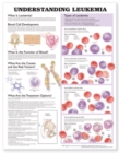 Image for Understanding Leukemia Anatomical Chart