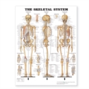 Image for The Skeletal System Giant Chart