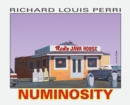 Image for Numinosity : Photographs, Paintings &amp; Text