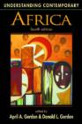 Image for Understanding contemporary Africa