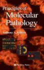 Image for Principles of Molecular Pathology