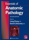 Image for Essentials of anatomic pathology