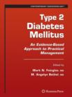 Image for Type 2 Diabetes Mellitus: : An Evidence-Based Approach to Practical Management