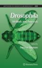 Image for Drosophila