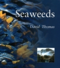 Image for Seaweeds
