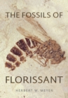 Image for The Fossils of Florissant