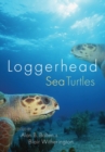Image for Loggerhead Sea Turtles